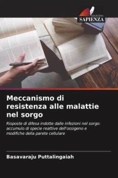 Meccanismo di resistenza alle malattie nel sorgo - Puttalingaiah, Basavaraju