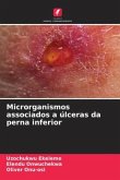 Microrganismos associados a úlceras da perna inferior