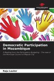 Democratic Participation in Mozambique