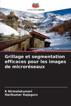 Grillage et segmentation efficaces pour les images de microréseaux - Nirmalakumari, K;Rajaguru, Harikumar