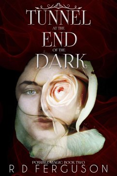 Tunnel at the End of the Dark (Possible Magic, #2) (eBook, ePUB) - Ferguson, R D