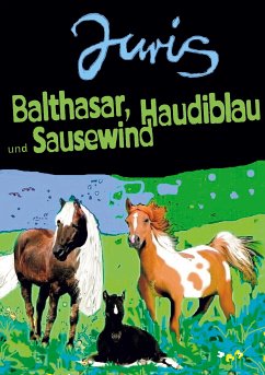 Balthasar, Haudiblau und Sausewind (eBook, ePUB) - Juris, Günther