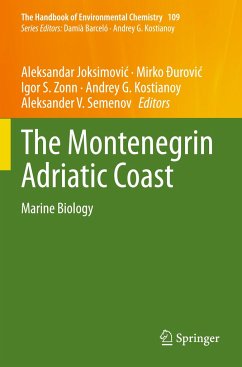 The Montenegrin Adriatic Coast