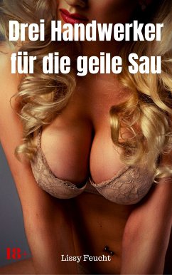 Drei Handwerker für die geile Sau (eBook, ePUB) - Feucht, Lissy