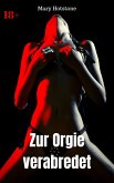 Zur Orgie verabredet (eBook, ePUB)