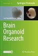 Brain Organoid Research - Bild 1