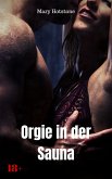 Orgie in der Sauna (eBook, ePUB)