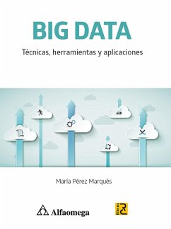 Cover Big Data (eBook, PDF)