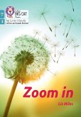 Zoom in Zoom in