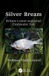Silver Bream - Bild 1