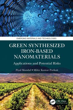 Green Synthesized Iron-based Nanomaterials - Mondal, Piyal; Purkait, Mihir Kumar