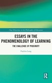 Essays in the Phenomenology of Learning