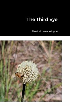 The Third Eye - Weerasinghe, Tharindu