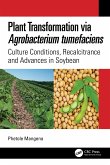 Plant Transformation Via Agrobacterium Tumefaciens