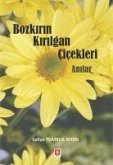 Bozkirin Kirilgan Cicekleri Anilar Bozkirin Kirilgan Cicekleri Anilar
