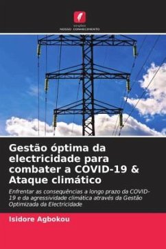 Gestão óptima da electricidade para combater a COVID-19 & Ataque climático - Agbokou, Isidore