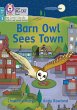 Barn Owl Sees Town - Bild 1