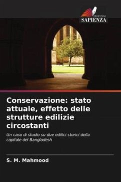 Conservazione: stato attuale, effetto delle strutture edilizie circostanti - Mahmood, S. M.