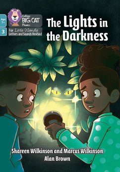 The Lights in the Darkness - Wilkinson, Shareen; Wilkinson, Marcus