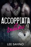 Accoppiata ai Berserker (eBook, ePUB)