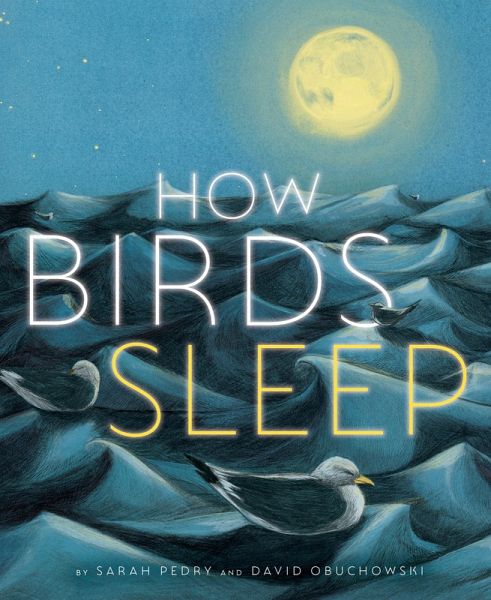 How Birds Sleep (eBook, ePUB) How Birds Sleep (eBook, ePUB)