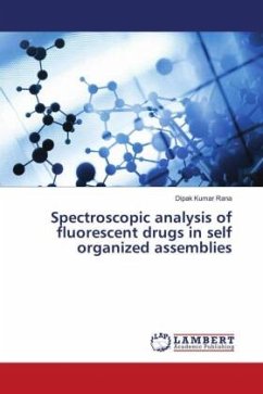 Spectroscopic analysis of fluorescent drugs in self organized assemblies