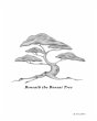 Beneath the Bonsai Tree - Bild 1