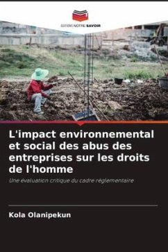 L'impact environnemental et social des abus des entreprises sur les droits de l'homme - Olanipekun, Kola