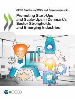 Cover Promoting Start-Ups and Scale-Ups in Denmark's Sector Strongholds and Emerging Industries