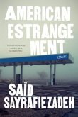 American Estrangement: Stories