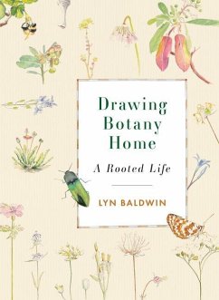 Drawing Botany Home - Baldwin, Lyn