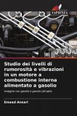 Studio dei livelli di rumorosità e vibrazioni in un motore a combustione interna alimentato a gasolio