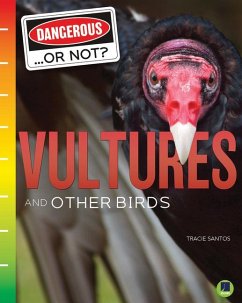 Vultures and Other Birds - Santos