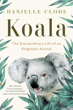 Koala - Clode, Danielle