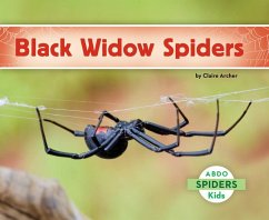 Black Widow Spiders - Archer