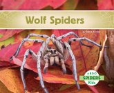 Wolf Spiders Wolf Spiders