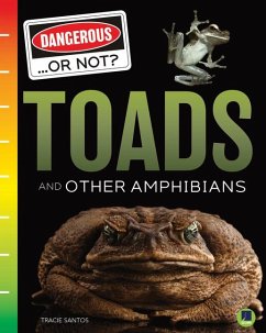 Toads and Other Amphibians - Santos