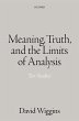 Meaning, Truth, and the Limits of... - Bild 1
