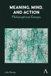 Meaning, Mind, and Action (eBook, PDF) - Bild 1