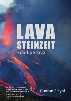Cover Lavasteinzeit (eBook, ePUB)