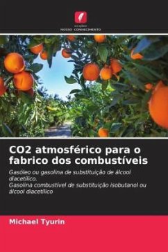 CO2 atmosférico para o fabrico dos combustíveis - Tyurin, Michael