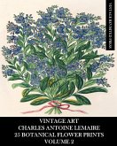 Vintage Art Vintage Art
