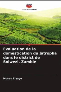 Évaluation de la domestication du Jatropha dans le district de Solwezi, Zambie - Ziyaye, Moses