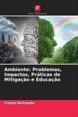 Ambiente: Problemas, Impactos, Práticas de Mitigação e Educação