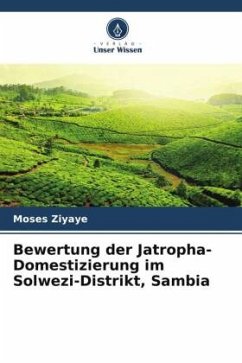 Bewertung der Jatropha-Domestizierung im Solwezi-Distrikt, Sambia - Ziyaye, Moses