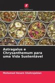 Astragalus e Chrysanthemum para uma Vida Sustentável