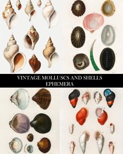 Vintage Molluscs and Shell Ephemera - Press, Vintage Revisited