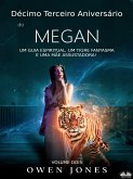 Décimo Terceiro Aniversário De Megan (eBook, ePUB)