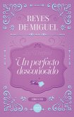 Un perfecto desconocido (eBook, ePUB)