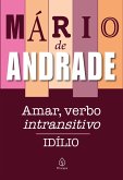 Amar, verbo intransitivo (eBook, ePUB)